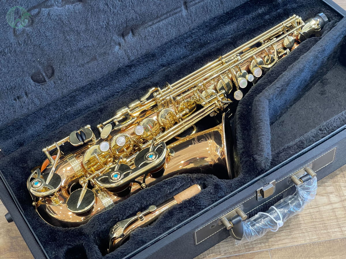2025年06月29日に買取させていただいたYANAGISAWA A-WO2の画像