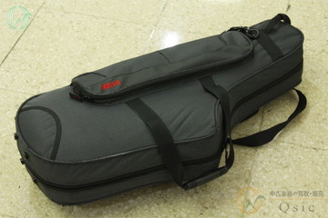 2025年11月09日にQsicが買取したGATOR　セミハードケースの画像